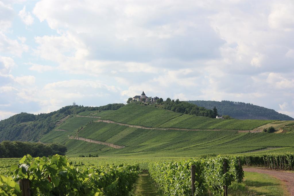 Burg  Zwei Ferienwohnungen "Im Weingarten " חדר תמונה